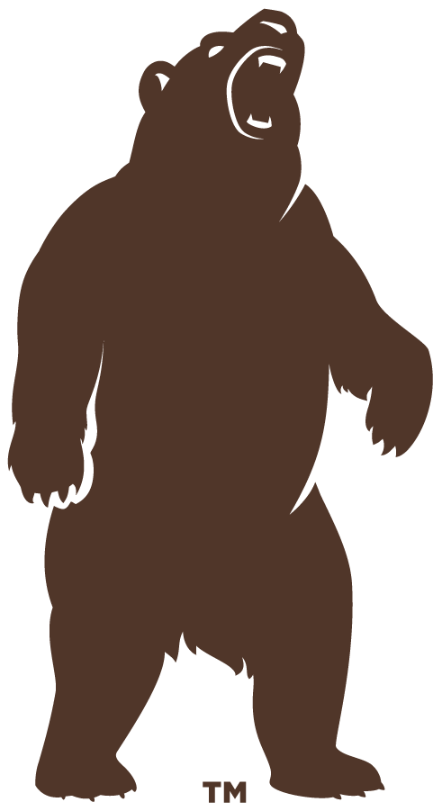 Brown Bears 2022-Pres Secondary Logo v3 diy iron on heat transfer